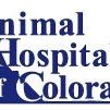 Animal Hospital of Colorado