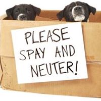 Planned Pethood Spay, Neuter & Wellness Clinic