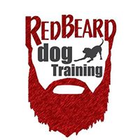 Red Beard Dog Training