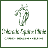 Colorado Equine Clinic and Lameness Center