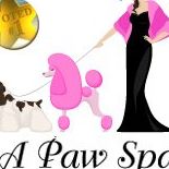 A Paw Spa Littleton