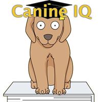 Canine IQ