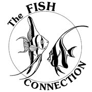 Fish Connection