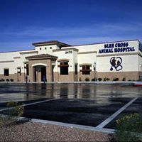 Blue Cross Animal Hospital