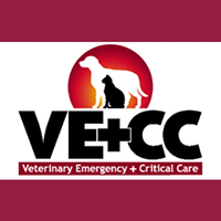 Veterinary Emergency + Critical Care