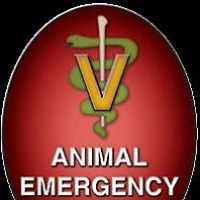 Animal Emergency Center of Las Vegas & Henderson