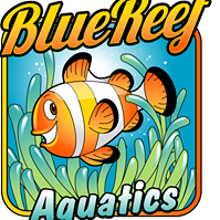 Blue Reef Aquatics