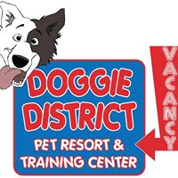 Doggie District