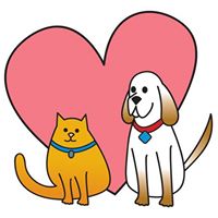 All Heart Pet Sitting