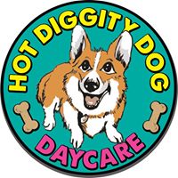 Hot Diggity Dog Daycare