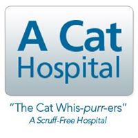 A Cat Hospital