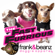 Frank and Beanz Doggie Apparel