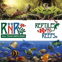 Reptiles N Reefs