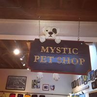 The Mystic Pet Shop