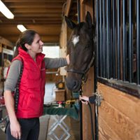 The Mid-Atlantic Equine Medical Center