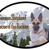 German Shepherd Rescue of the Rockies (GSROR)