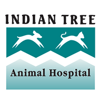 Indian Tree Animal Hospital