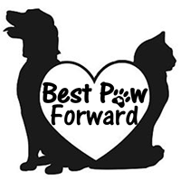 Best Paw Forward