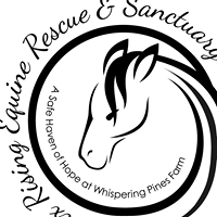 Phoenix Rising Equine Rescue and Sanctuary