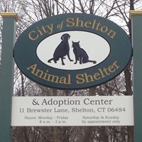 City of Shelton Animal Shelter