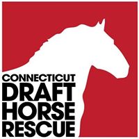 Connecticut Draft Horse Rescue