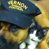 Vernon Animal Control