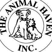 The Animal Haven