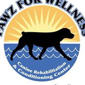 Pawz For Wellness