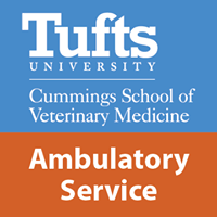 Tufts Ambulatory Service