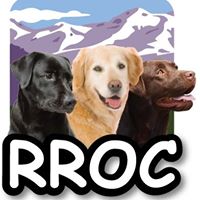 The Retriever Rescue of Colorado