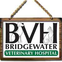 Bridgewater Veterinary Hospital – New Jersey