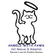 Angels With Paws: Cat Rescue and Adoption Center