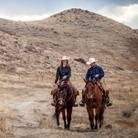 Royal T Horsemanship