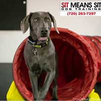 Sit Means Sit Longmont-Firestone