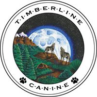 Timberline Canine: Adventure Hikes for Dogs