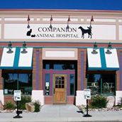 St Michaels Companion Animal Hospital