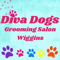 Diva Dogs Grooming Salon Wiggins