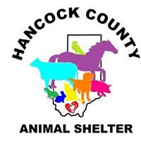 Hancock County Animal Shelter, MS