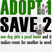 Senatobia-Tate County Animal Shelter