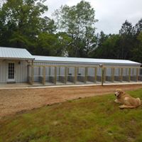 Thomas Boarding Kennels