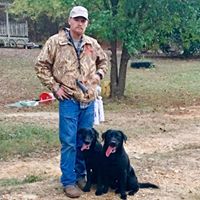 Punching Creek Retrievers