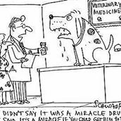 Westside Veterinary Clinic