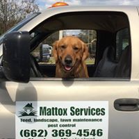 Mattox Services