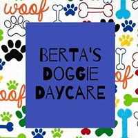 Berta’s Doggie Daycare