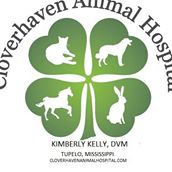 Cloverhaven Animal Hospital