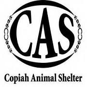 Copiah Animal Shelter