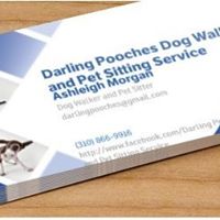 Darling Pooches Dog Walking and Pet Sitting Service