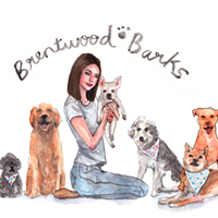 Brentwood Barks