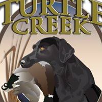 Turtle Creek Retrievers