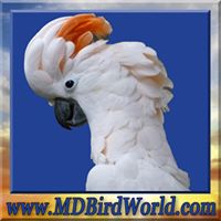 M & D Bird World, Exotic Birds and Supplies